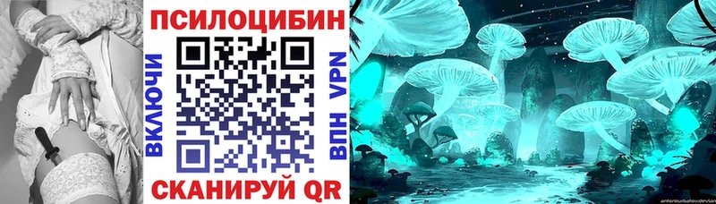 Псилоцибиновые грибы мицелий  Грайворон 